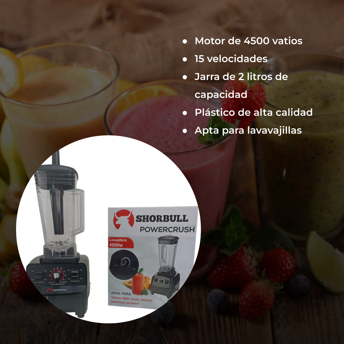 Licuadora Profesional Negra 4500w Rudo Frappe 2l Shorbull