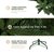 Árbol de Navidad Pino Navideño 2.2m 1300 Ramas - Verde oliva para ESQUIMAL