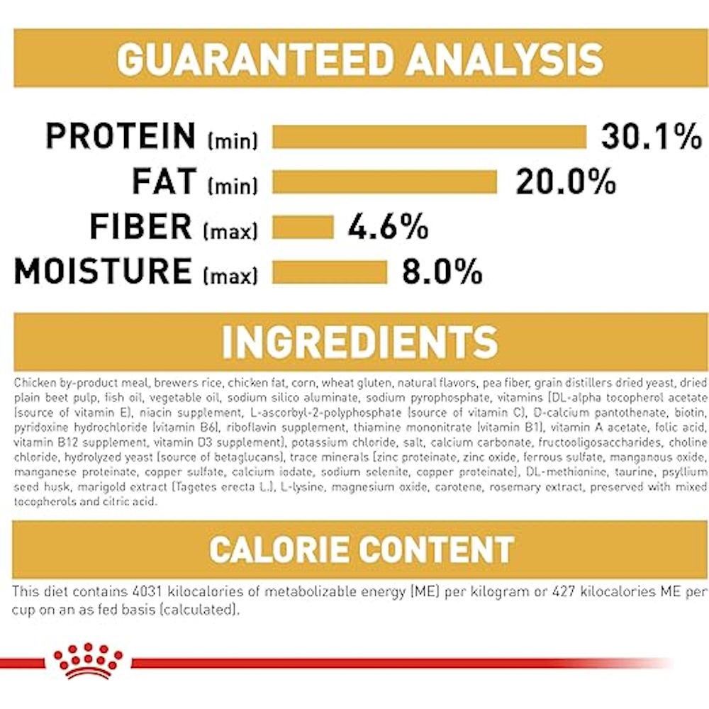 Alimento Seco Gatos Adultos Persa Raza Felina 3 libras Royal Canin