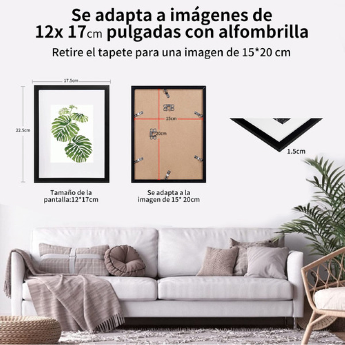 6 Piezas Cuadros Decorativos Diseño de Plantas Negro