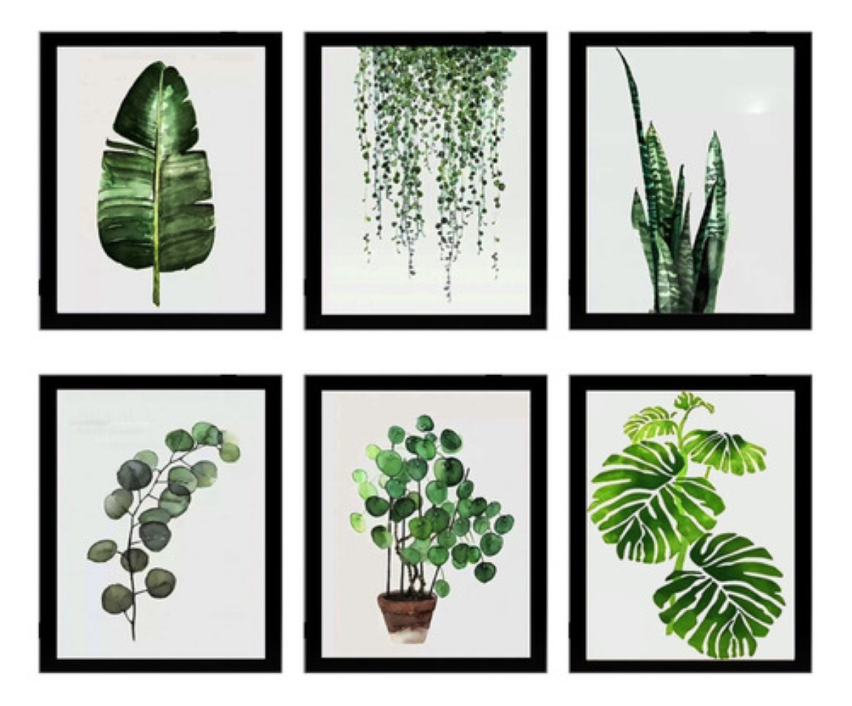 6 Piezas Cuadros Decorativos Diseño de Plantas Negro