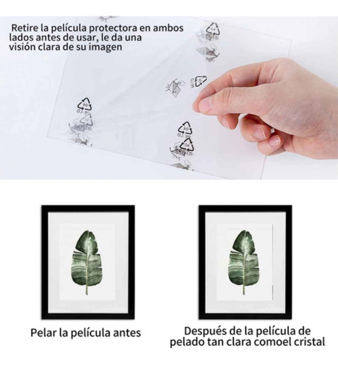 6 Piezas Cuadros Decorativos Diseño de Plantas Negro