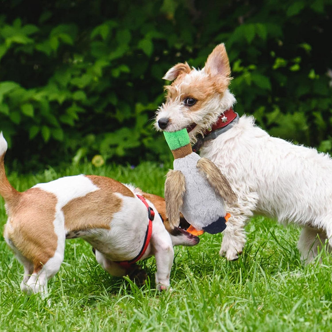 Mihachi Juguetes chirriantes de felpa para perros, pato de juguete