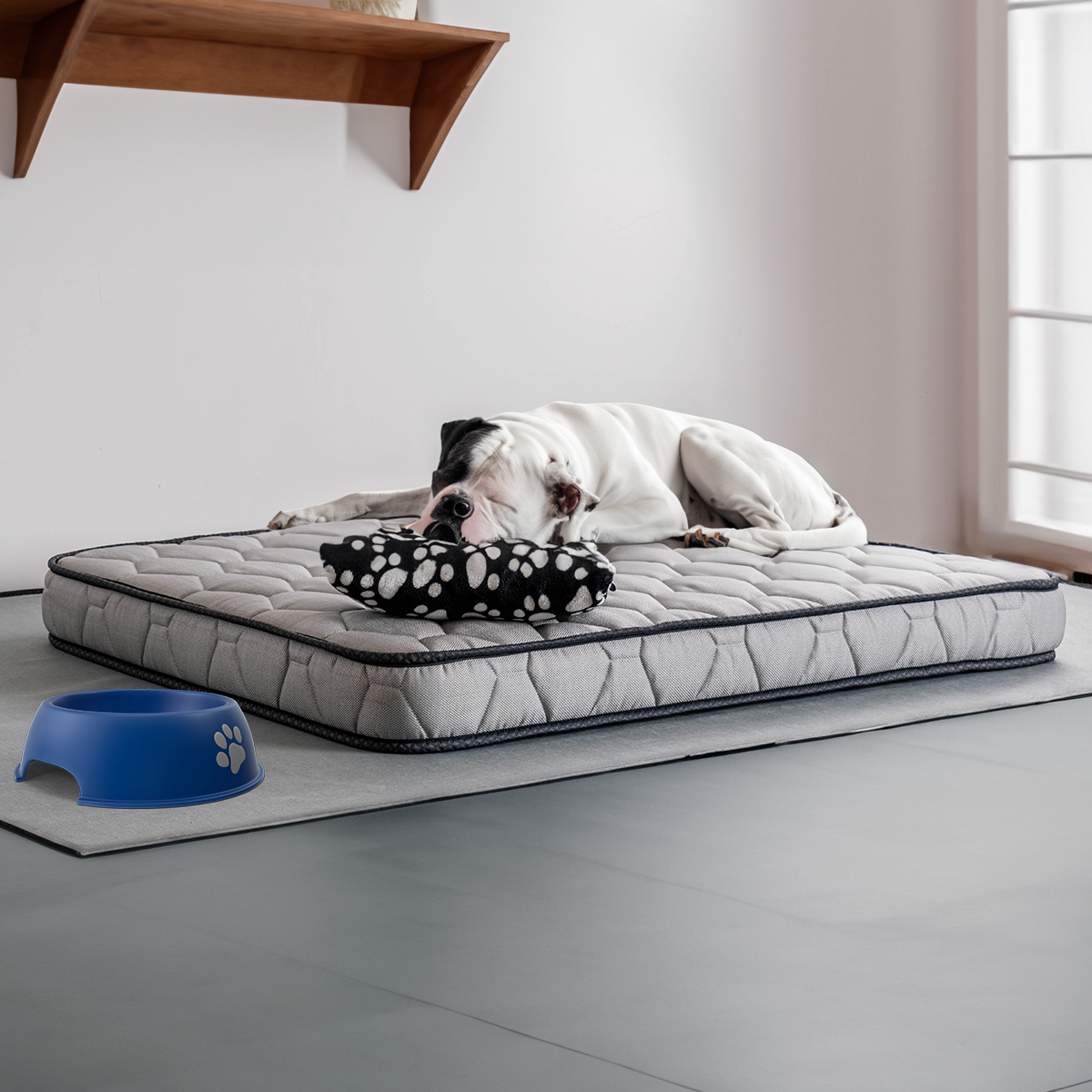 Cama para perros online con almohada