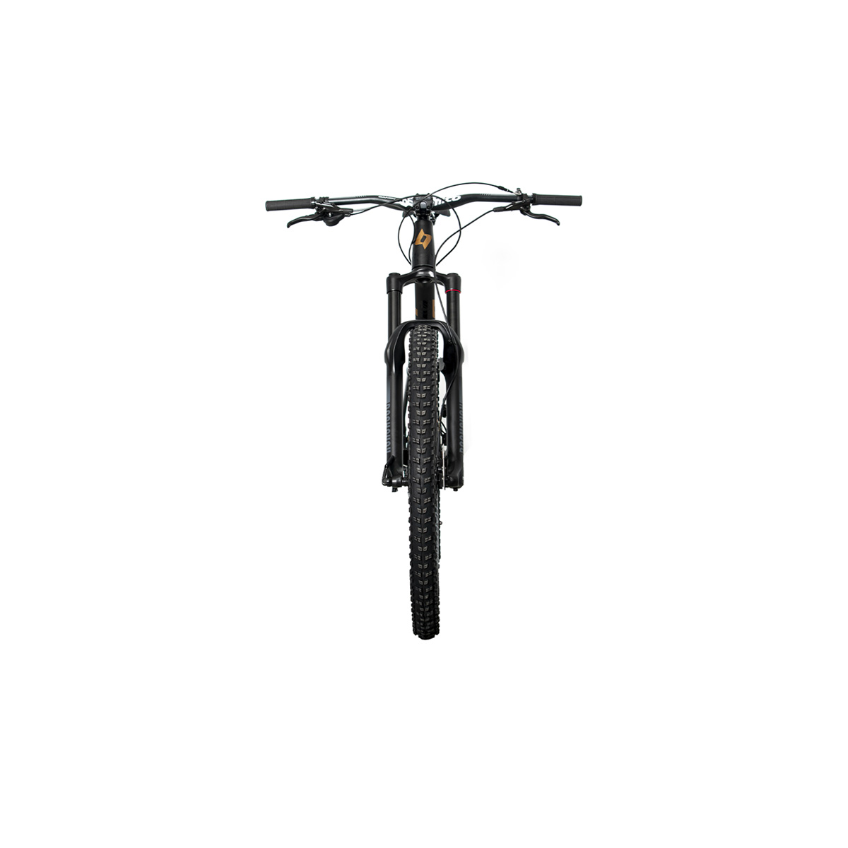 Bicicleta Belfort Balam 35 Gold R29 T17 Negro Cobre 2024