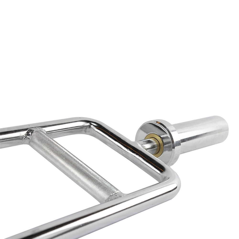 Barra Romana Olimpica Profesional para Gym