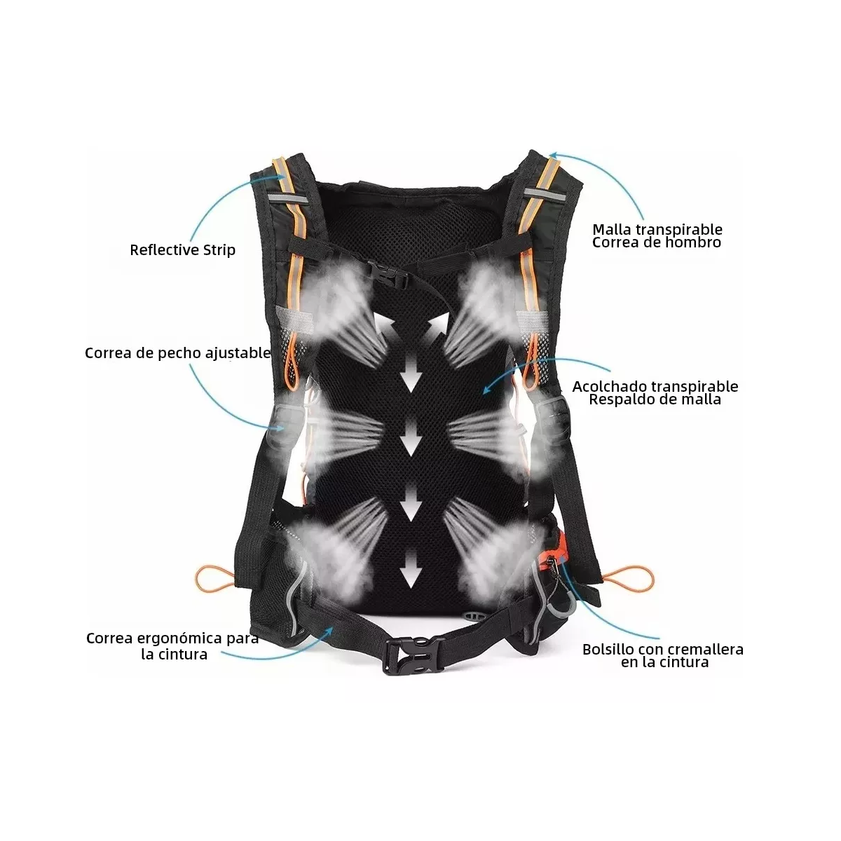 Mochila Hidratación Hiking Campismo Ciclismo+bolsa De Agua2l Negro