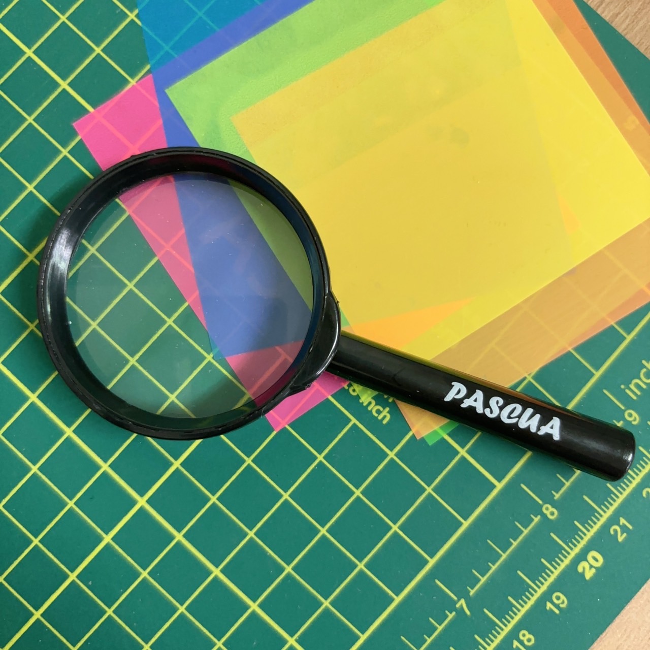 Lupa plastica con Lente exploren Las Ciencias Naturales y Artículos de Fiesta Educativos y Estudiar Insectos