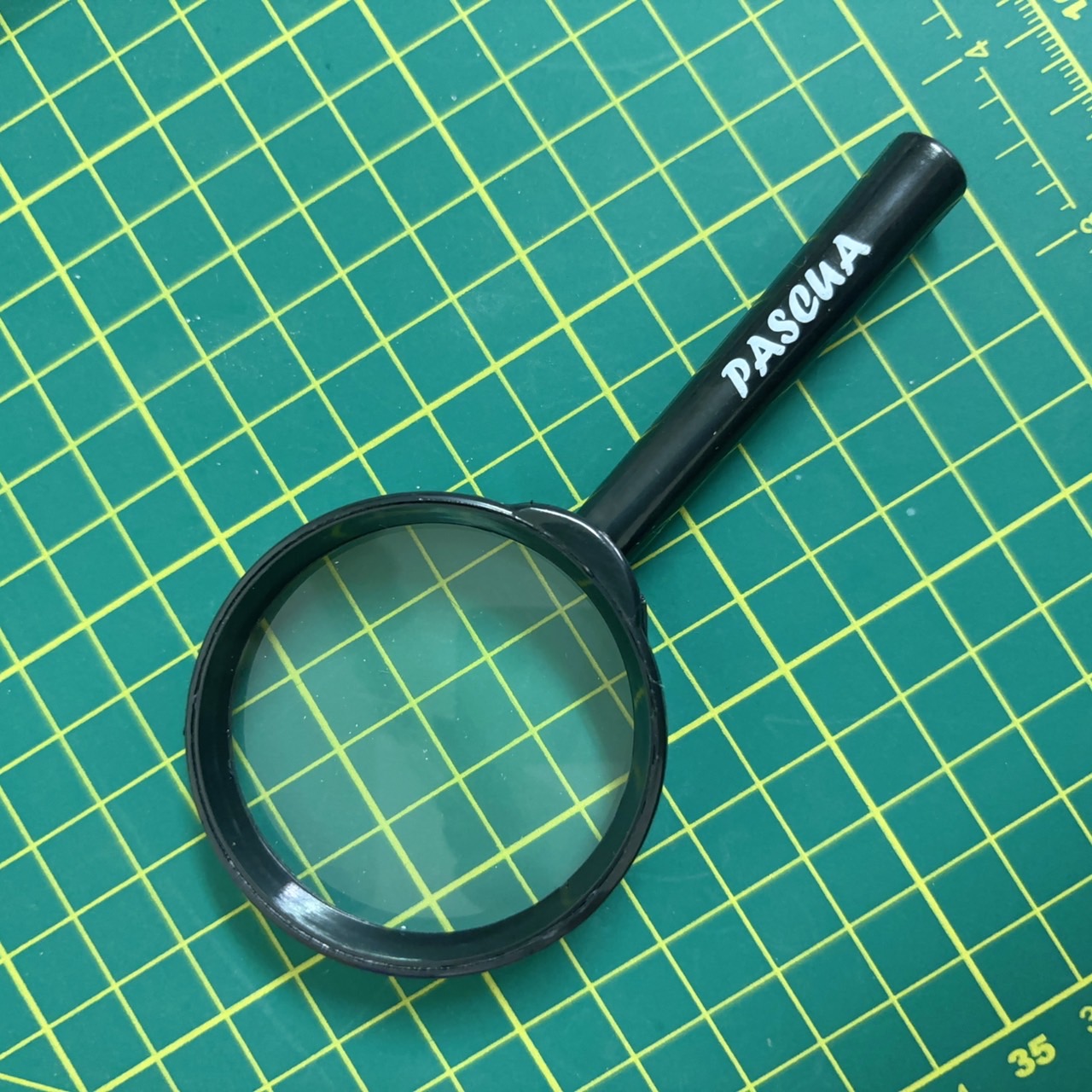 Lupa plastica con Lente exploren Las Ciencias Naturales y Artículos de Fiesta Educativos y Estudiar Insectos