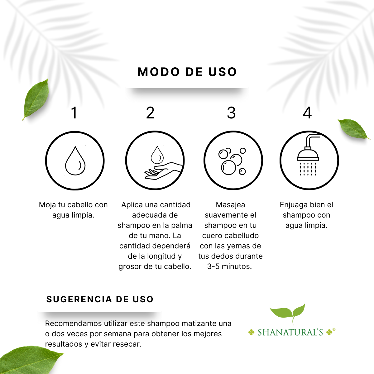 Kit para la belleza del cabello Tinte Negro + Matizante Negro + Aceite 12 Óleos Shanatural´s