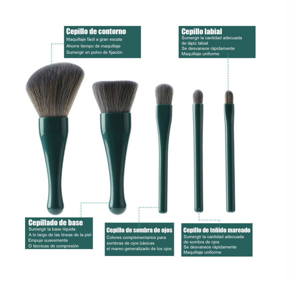 Set De Brochas Para Maquillaje Con Espejo Estuche Concha verde