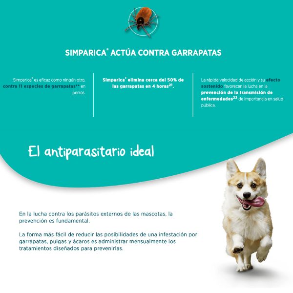 Simparica Perros De 10 a 20 Kg, 1 tableta. Pulgas, Sarna Y garrapatas