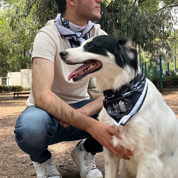 Mascada Perro Golondrinas 