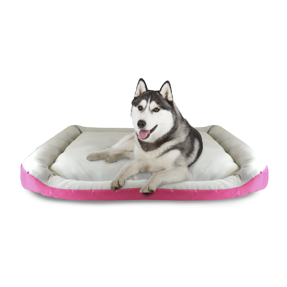 Cama ideal discount para husky siberiano