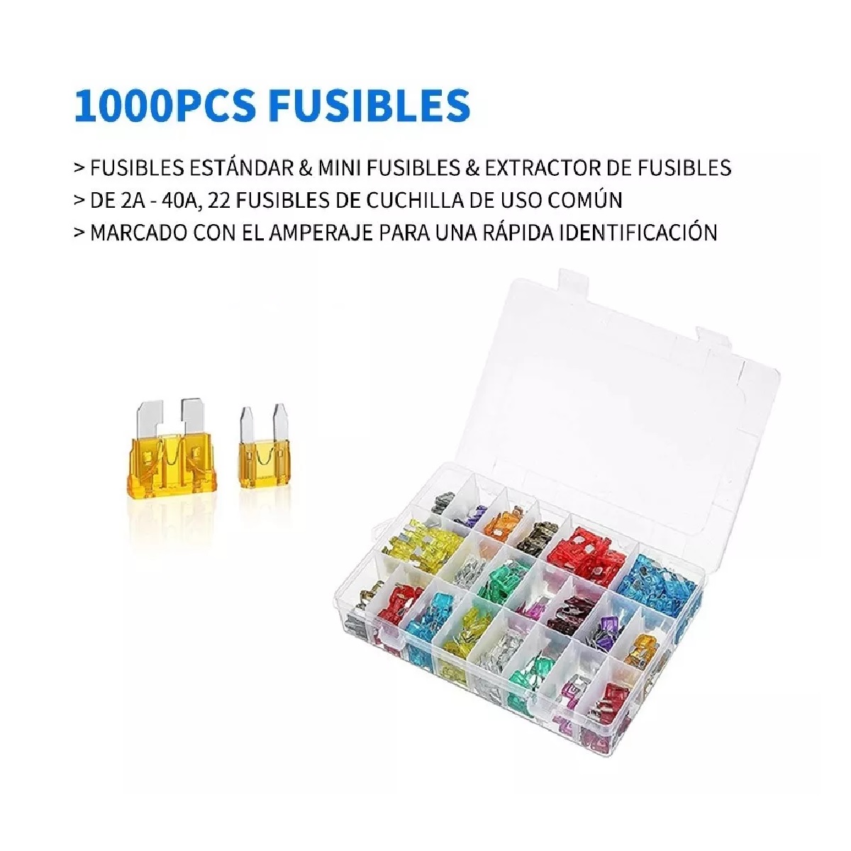 Kit 1000 Piezas Fusibles Coche Automotriz Con Caja