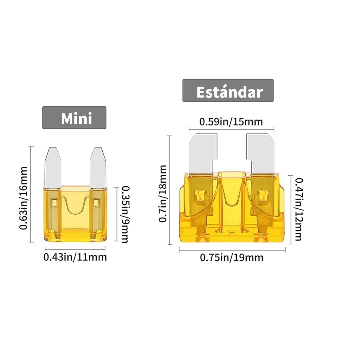 Kit 1000 Piezas Fusibles Coche Automotriz Con Caja