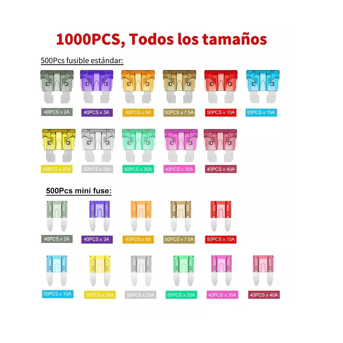 Kit 1000 Piezas Fusibles Coche Automotriz Con Caja
