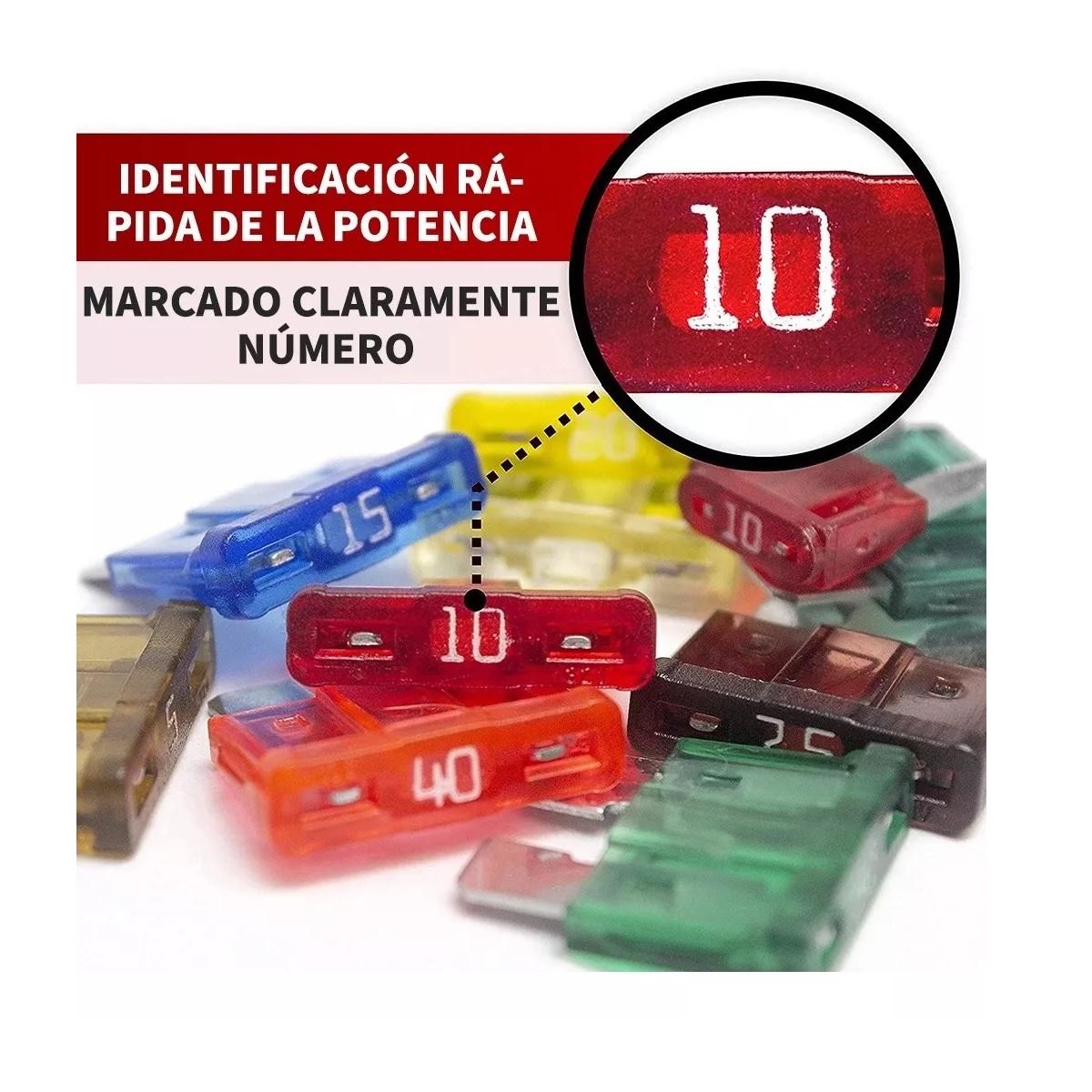 Kit 1000 Piezas Fusibles Coche Automotriz Con Caja