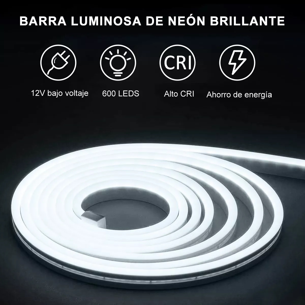 Tiras De Led 10m Luz Neón Flexible 24v Con Control Remoto Blanco Frio
