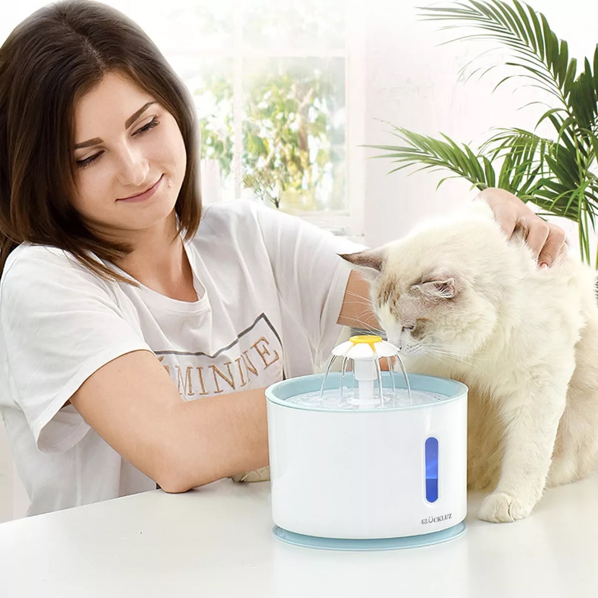 Pets Fuente De Agua Para Gatos Dispensador Mascotas Azul