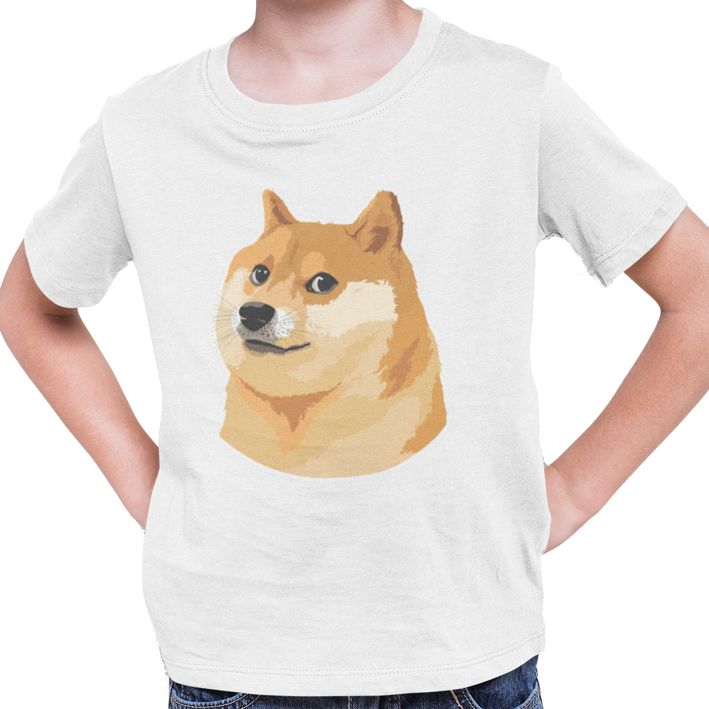 Playera Caballero, Dama y Niño Cheems Doge Perro Meme