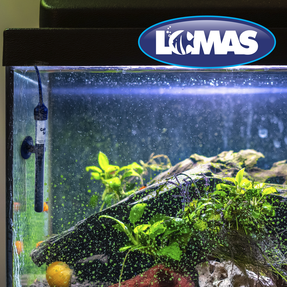 CALENTADOR FIJO THERMO MINI 5 W