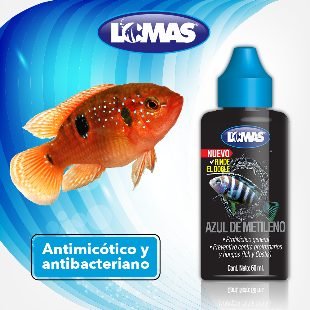 AZUL DE METILENO 60 ML