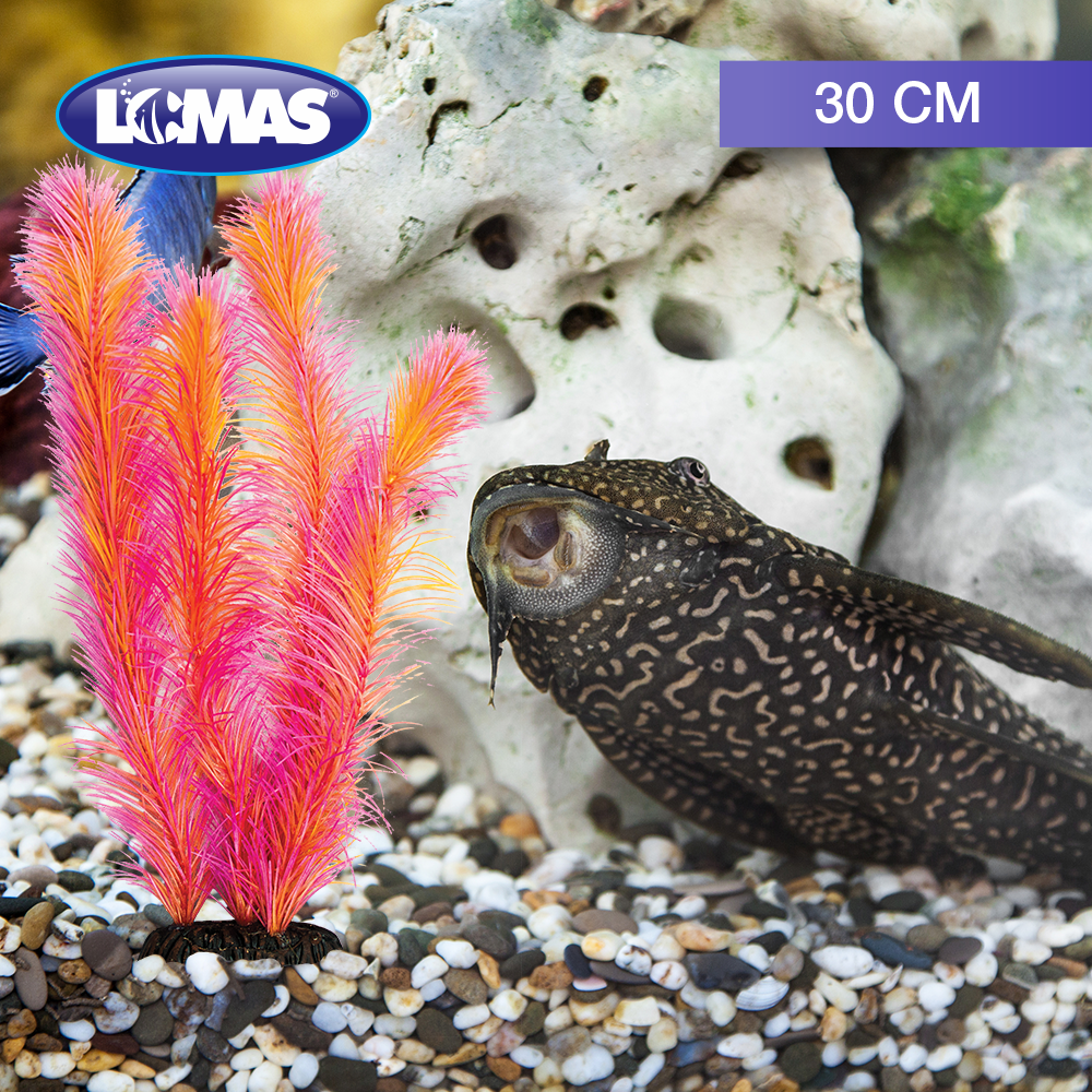 PLANTA DE SEDA 10 CM - 1 PZ