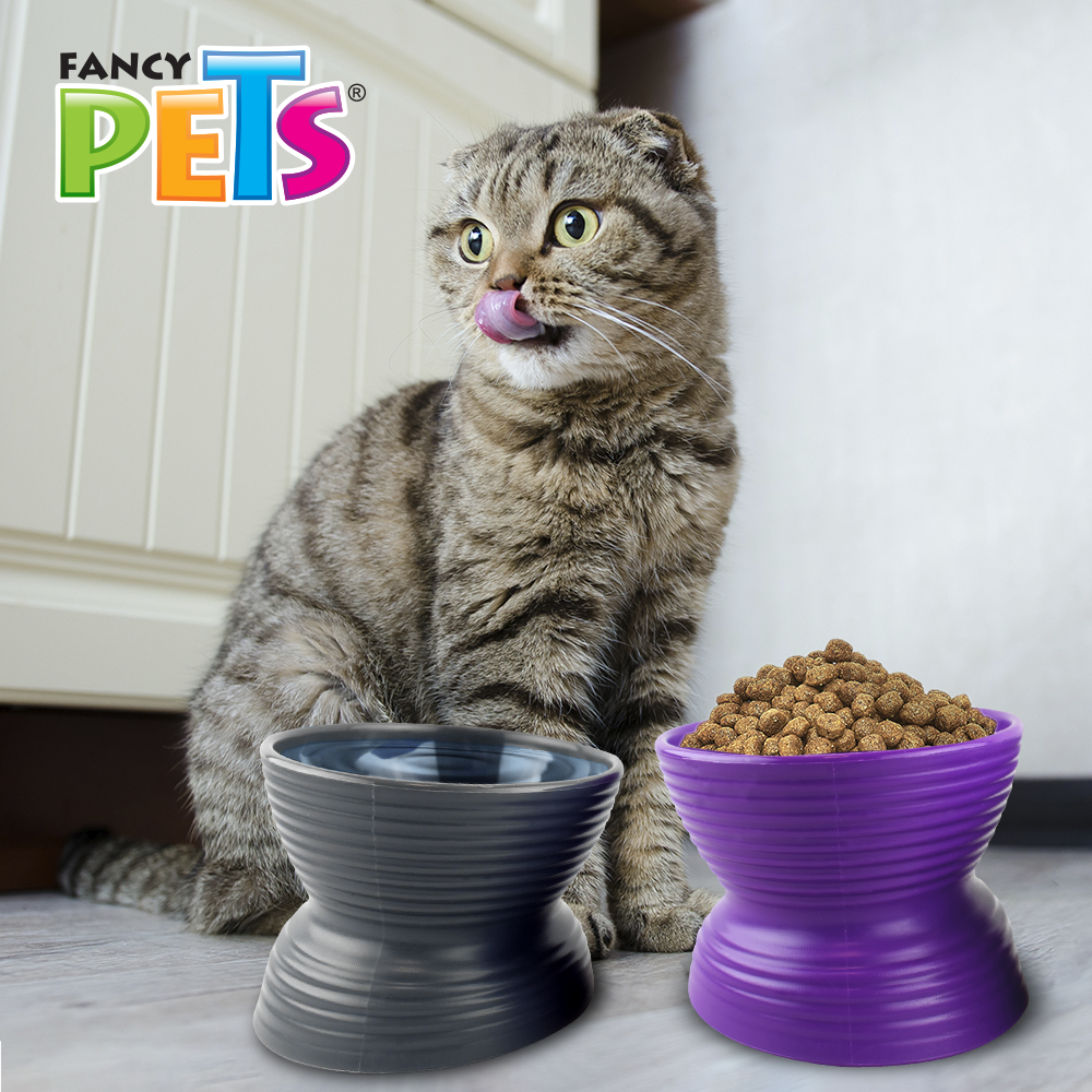 SET DE 2 PLATOS P/GATO