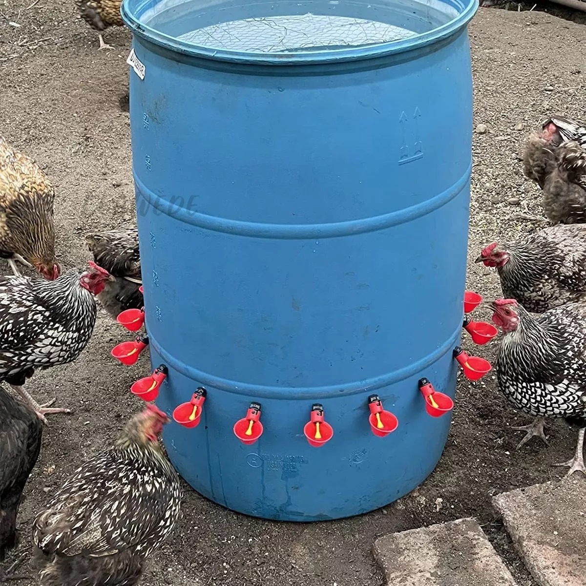 Kit Bebederos Separadores Para Gallos,pollos,codorniz, 30 Pzs