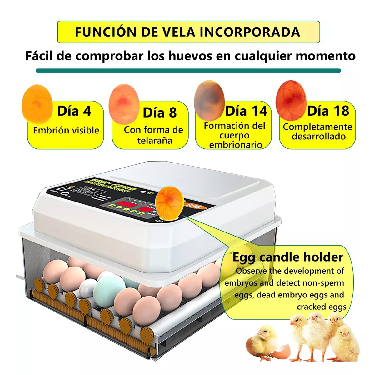 Incubadora 42 Huevos automatica De Aves De Control Temp