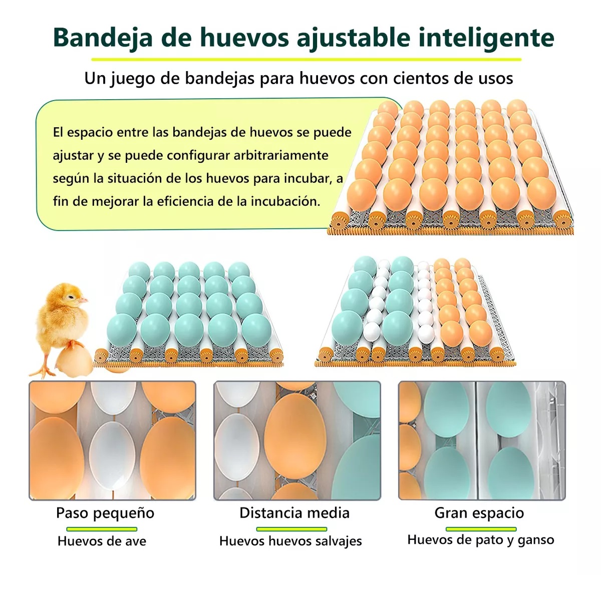 Incubadora 42 Huevos automatica De Aves De Control Temp
