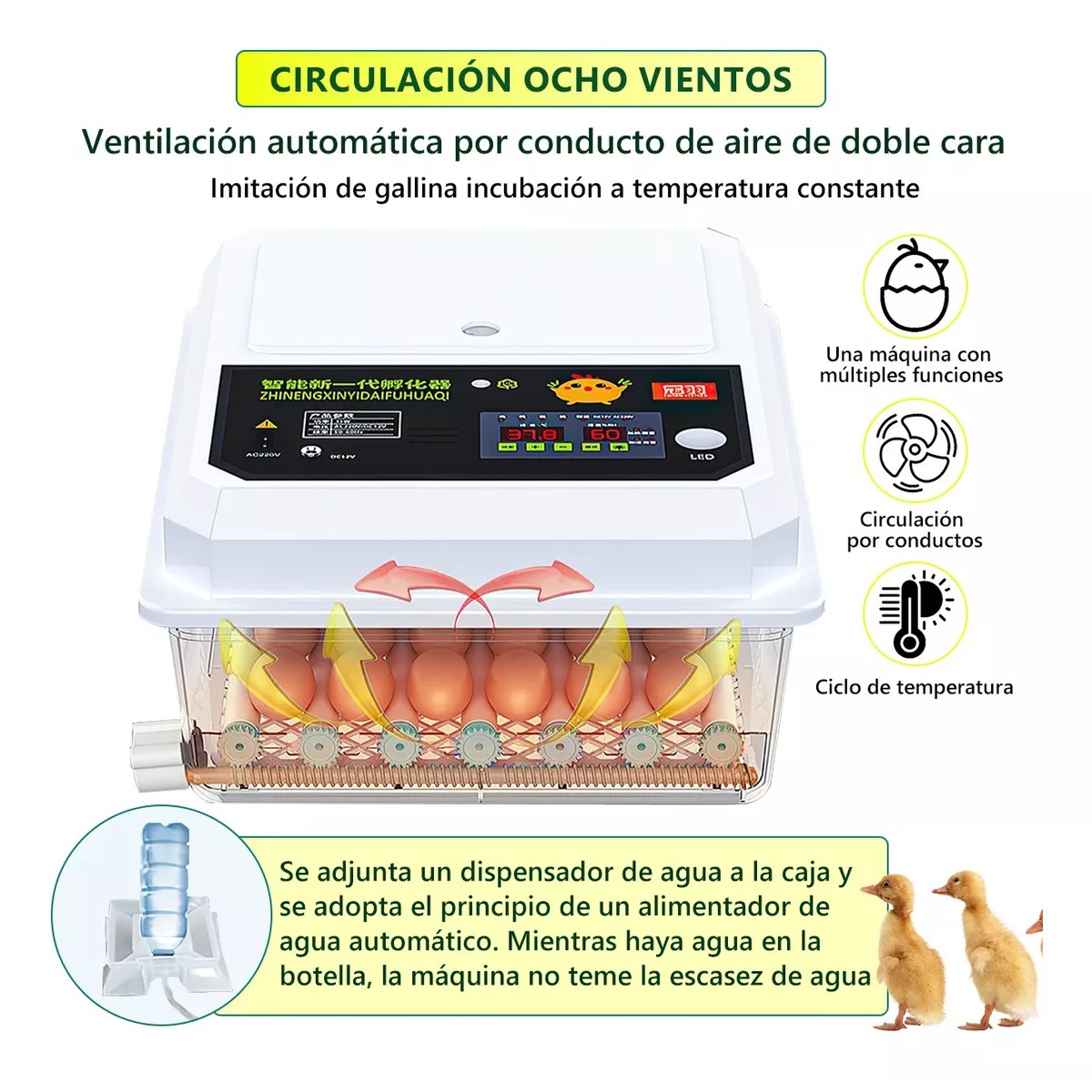 Incubadora 42 Huevos automatica De Aves De Control Temp
