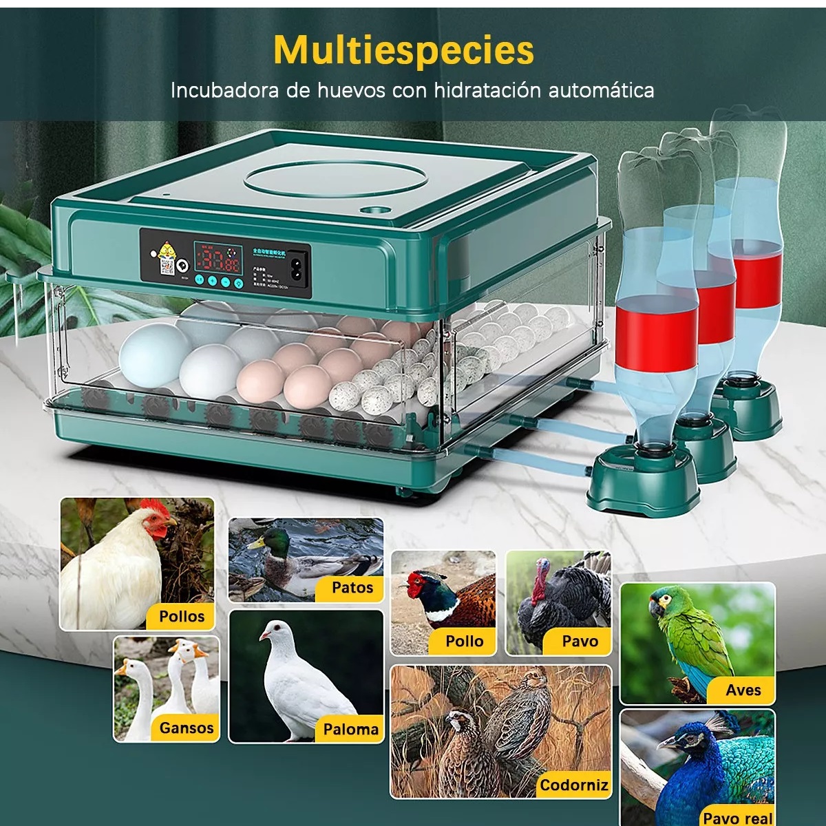Incubadora Automática De Aves Corral P/ 38 Huevos Y Aves