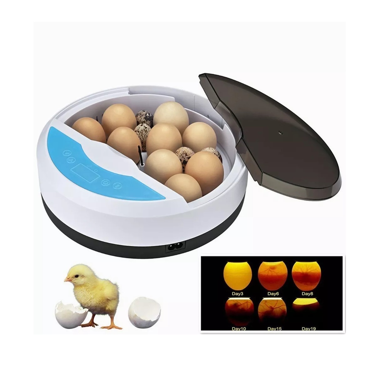Incubadora De 9 Huevos Para Granja, Control Automático