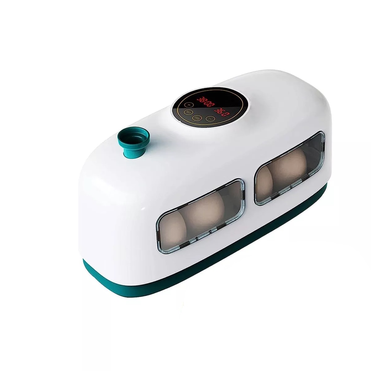 Incubadora De 8 Huevos Con Control Automático De Temperatura