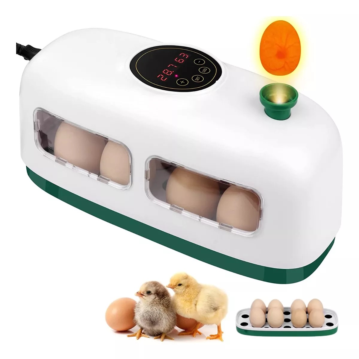 Incubadora De 8 Huevos Con Control Automático De Temperatura