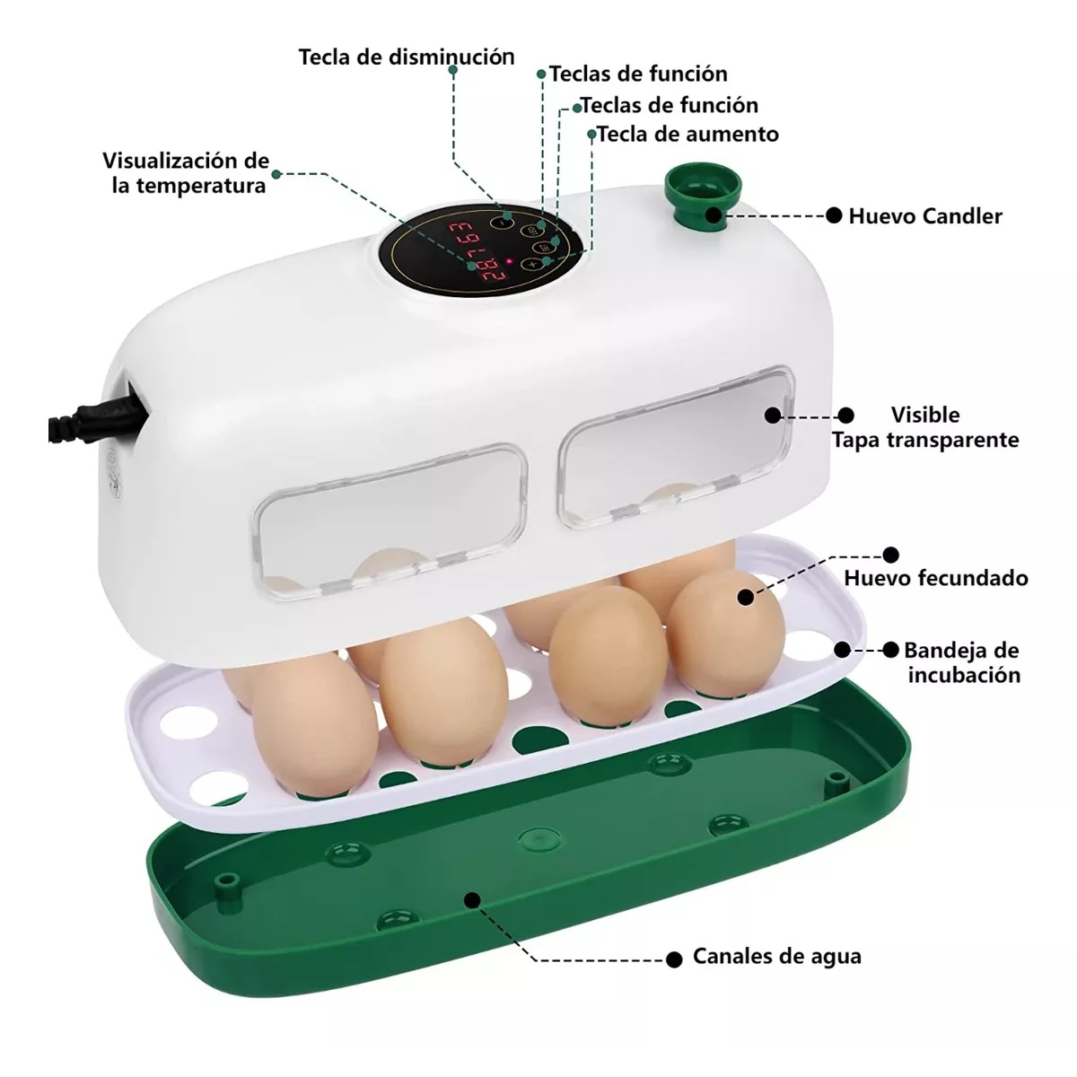 Incubadora De 8 Huevos Con Control Automático De Temperatura