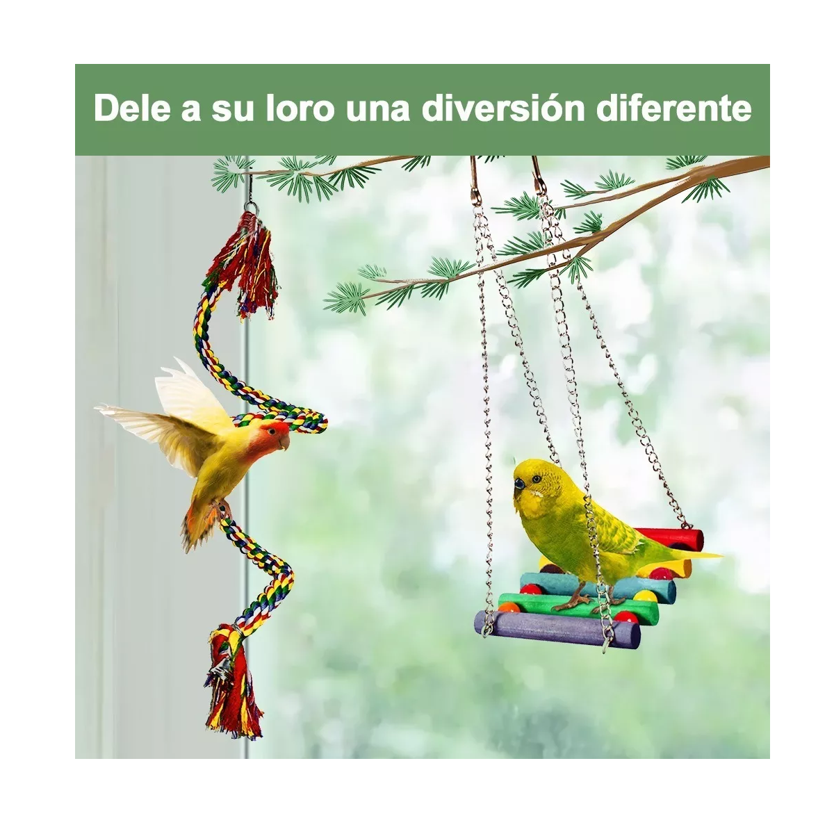 Kit 9pzs De Juguete Para Aves Loro De Pájaro Columpio Campana