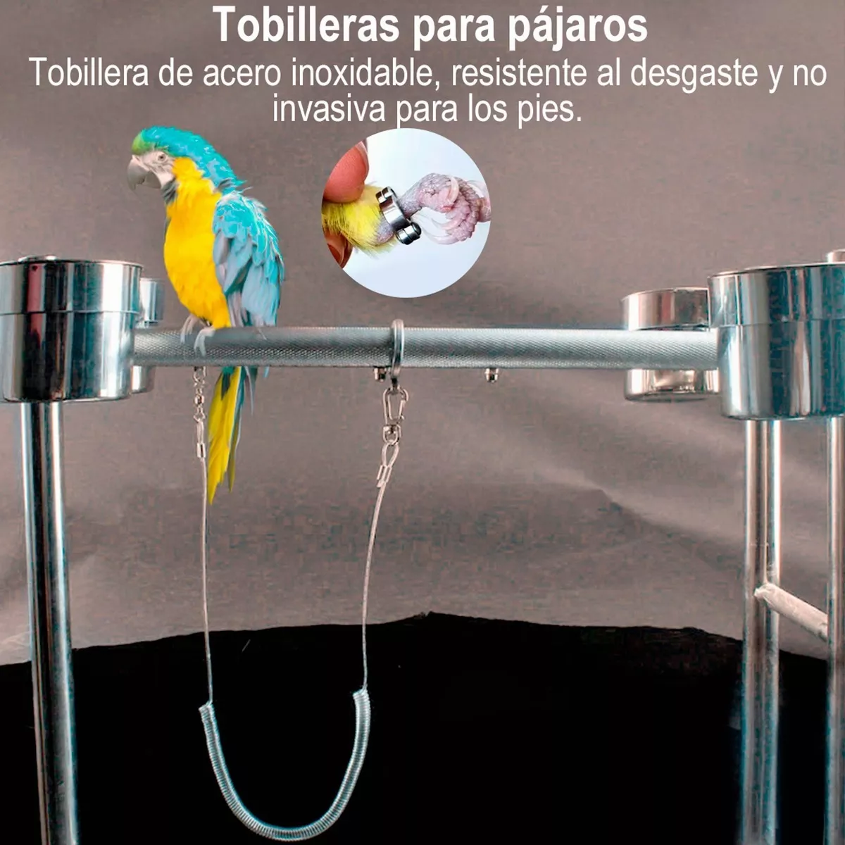 Correa Arnés Anti-mordedura 6 M Flexible Mascota Loro Pájaro