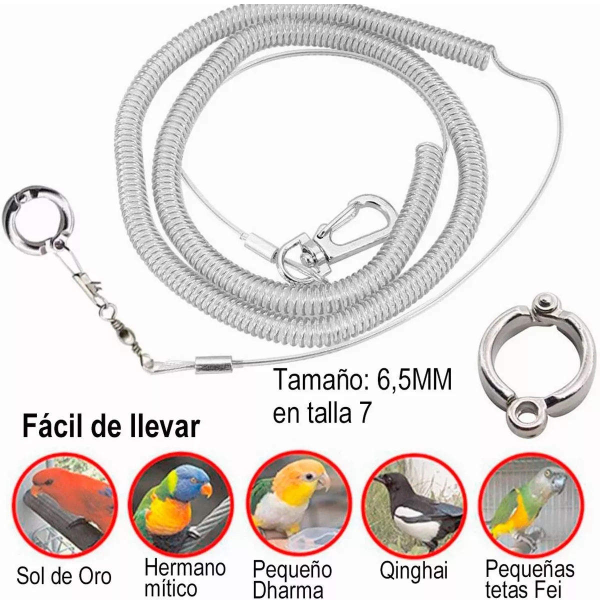 Correa Arnés Anti-mordedura 6 M Flexible Mascota Loro Pájaro