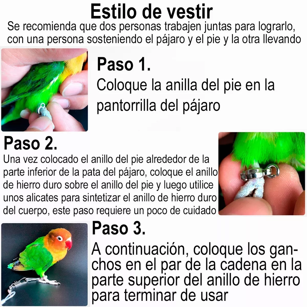 Correa Arnés Anti-mordedura 6 M Flexible Mascota Loro Pájaro