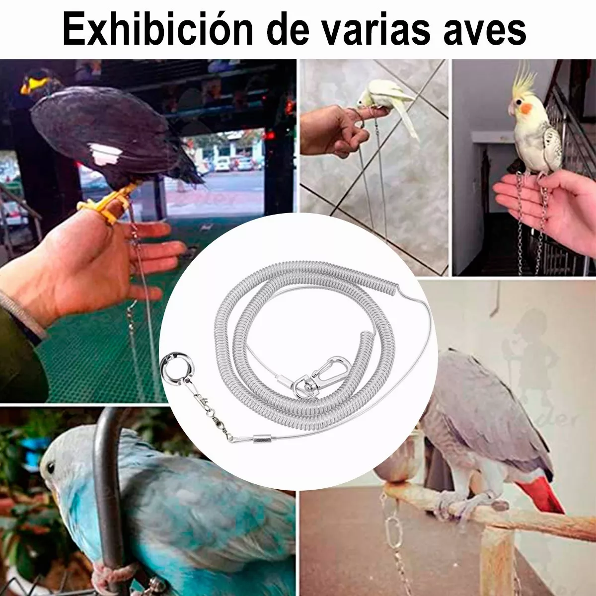 Correa Arnés Anti-mordedura 6 M Flexible Mascota Loro Pájaro