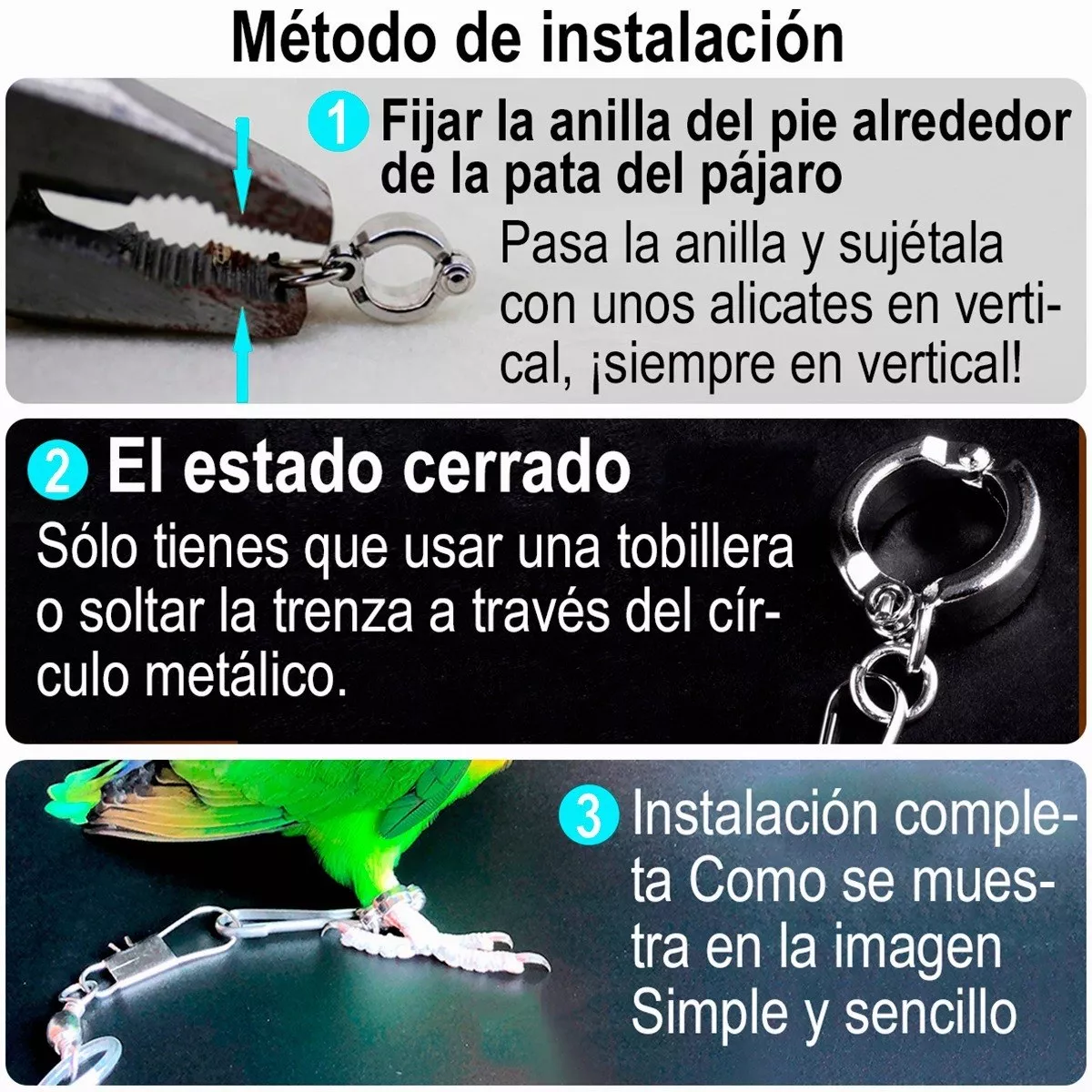 Correa Arnés Anti-mordedura 6 M Flexible Mascota Loro Pájaro