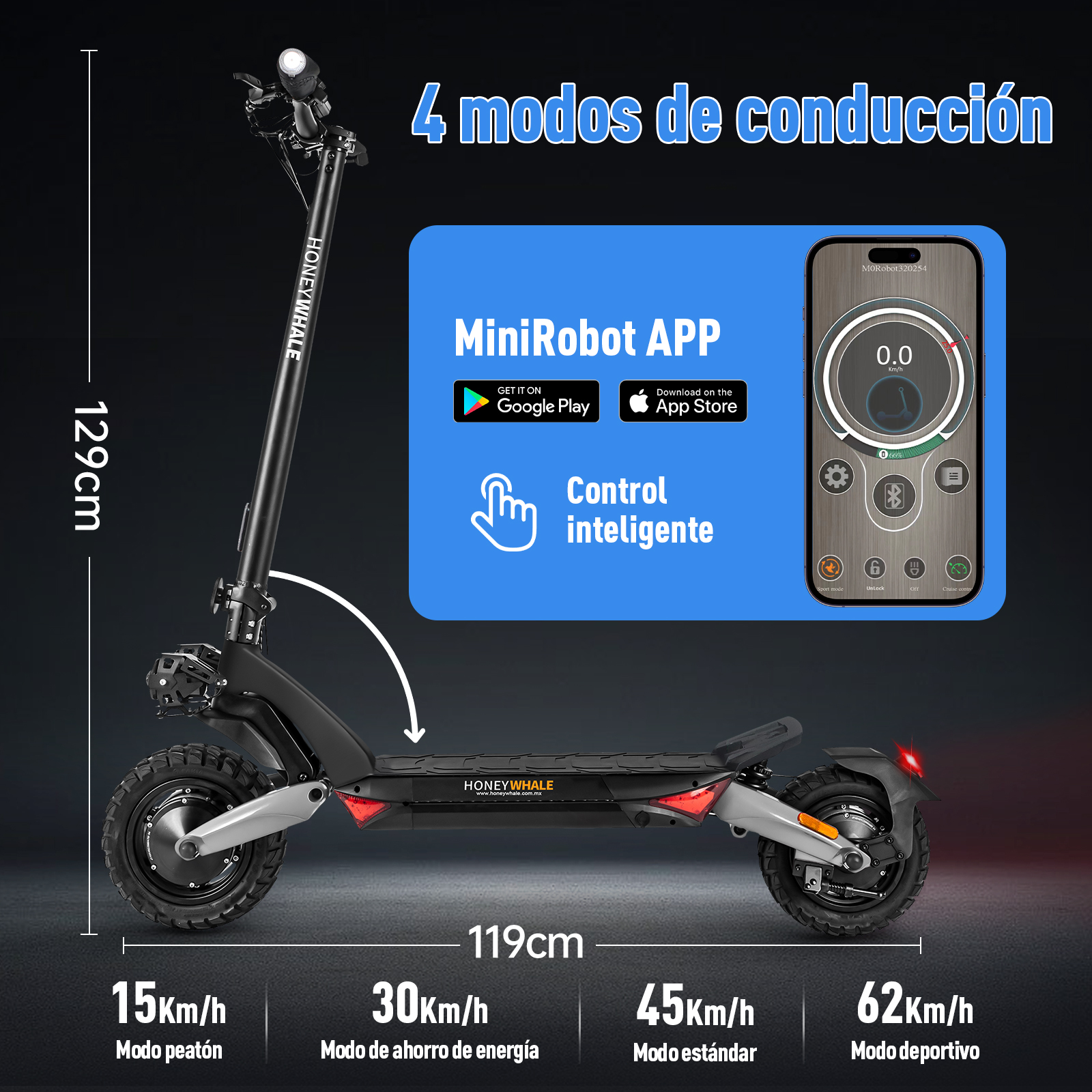 Scooter Eléctrico Honey Whale T8 Gris.
