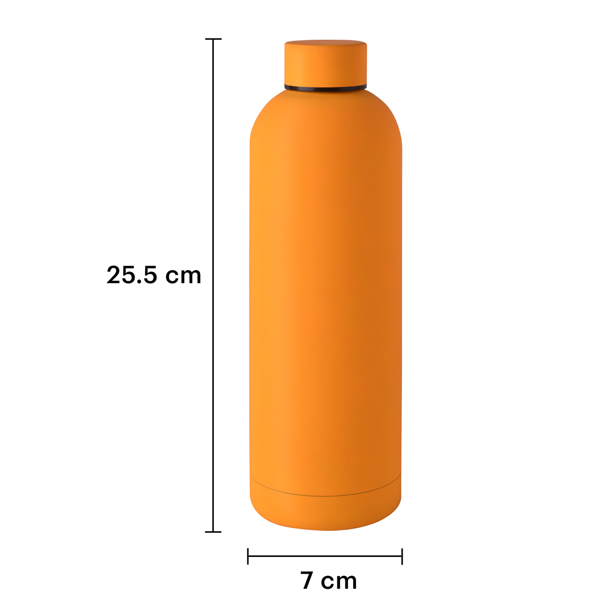 Coleman Switch Autospout 24 oz Stainless Steel Water Bottle | Caribbean Sea