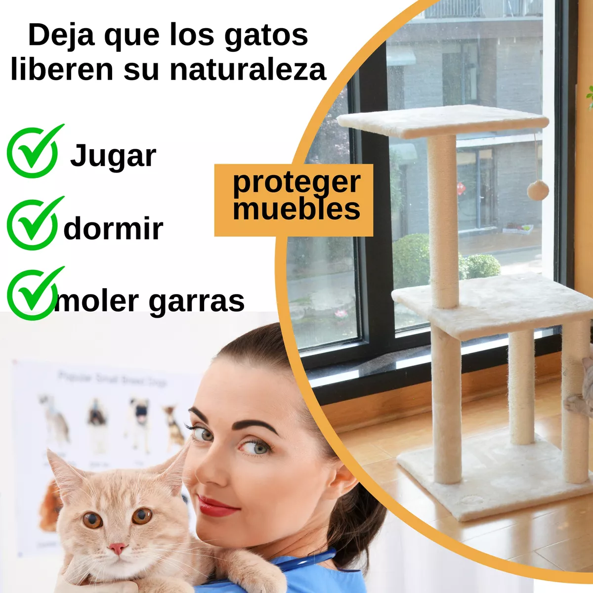 Torre Árbol Rascador Para Gatos Muebles Para Gatos