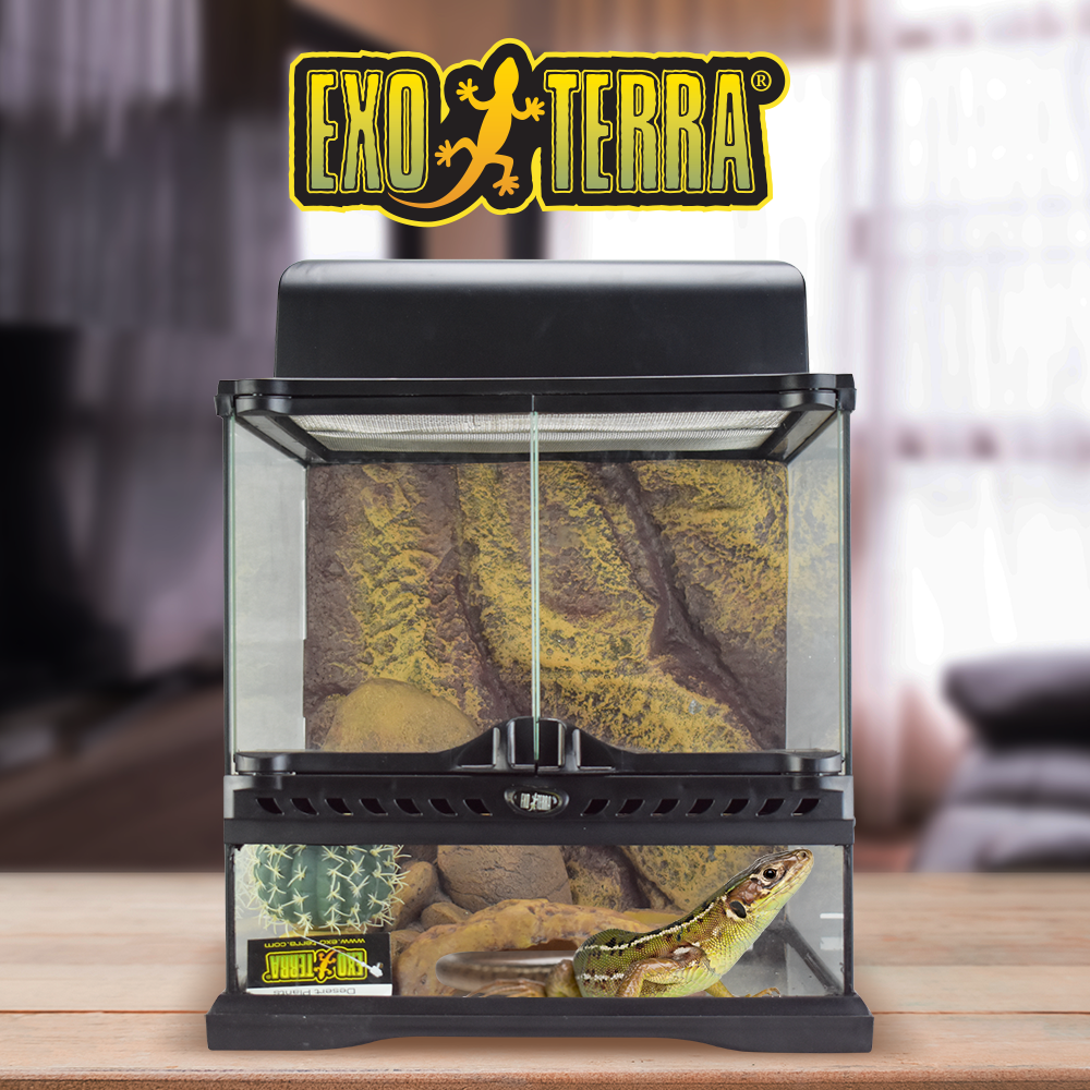 KIT CH HABITAT DESIERTO EXO-TERRA