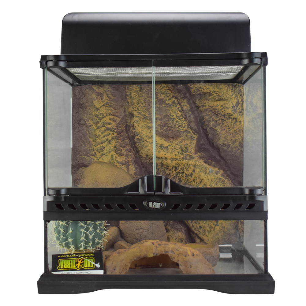 KIT CH HABITAT DESIERTO EXO-TERRA