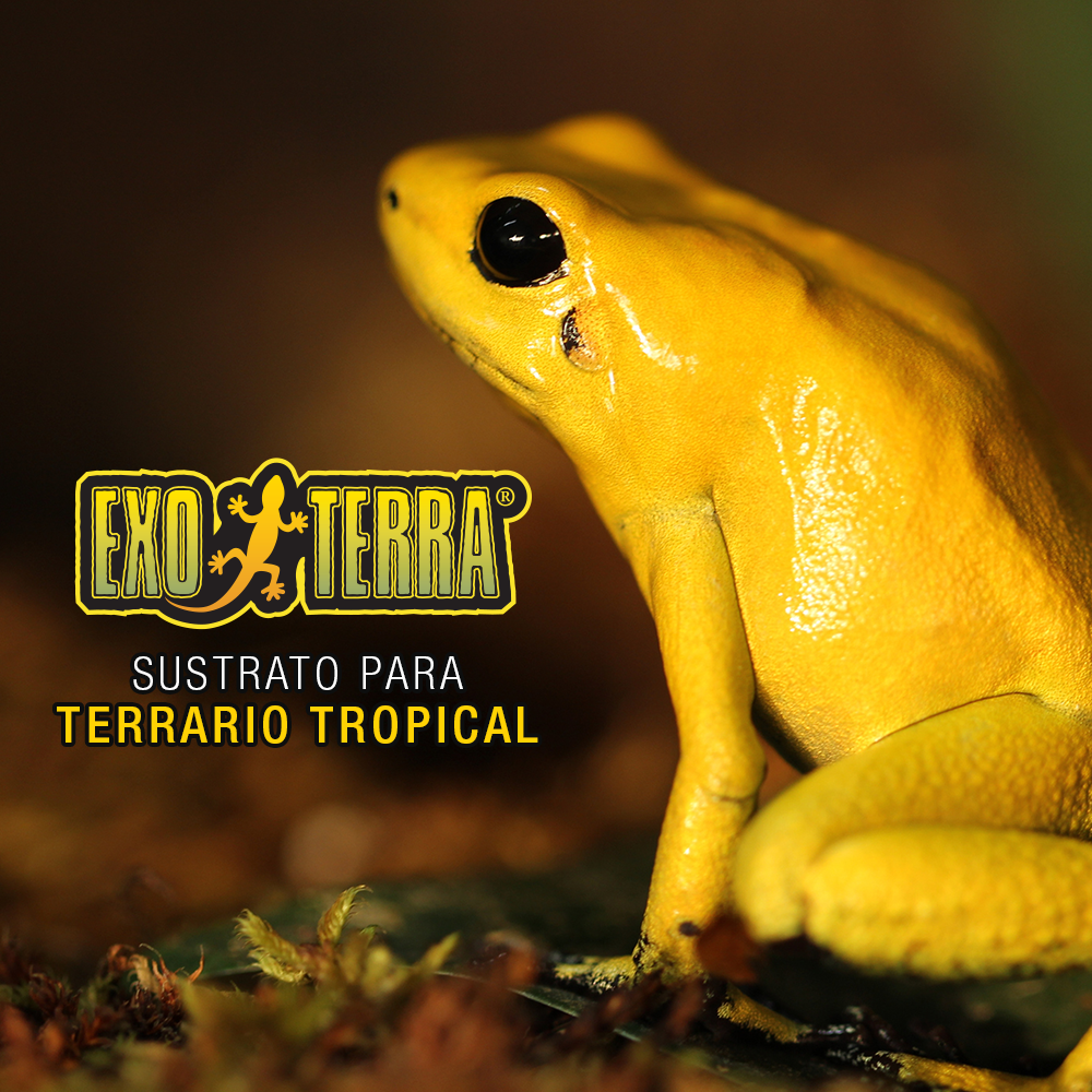 SUSTRATO CASCARA DE COCO 500 G